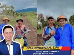 Sukses Sebagai Petani Kentang di Kayu Aro, Cawabup Ezi: Petani dan Bantuan Bibit Jadi Prioritas Kita