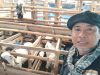 Jelang Idul Adha, Kandang Sonny Berkah Farm Berikan Edukasi Adanya Penyakit PMK Hewan Qurban